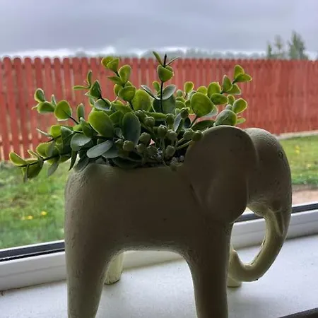 アパート Gallinagh モナハン