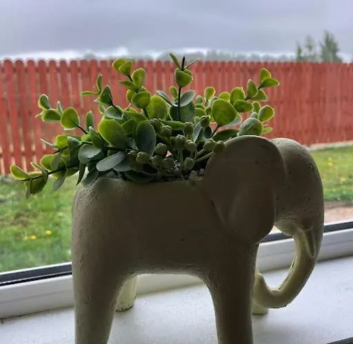 Daire Gallinagh Monaghan